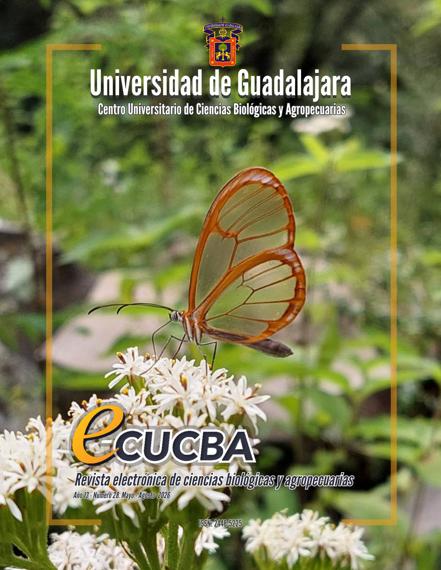 					View No. 28 (13): e-CUCBA |May - August 2026
				
